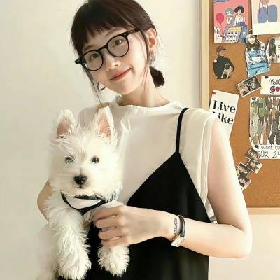 惩戒者